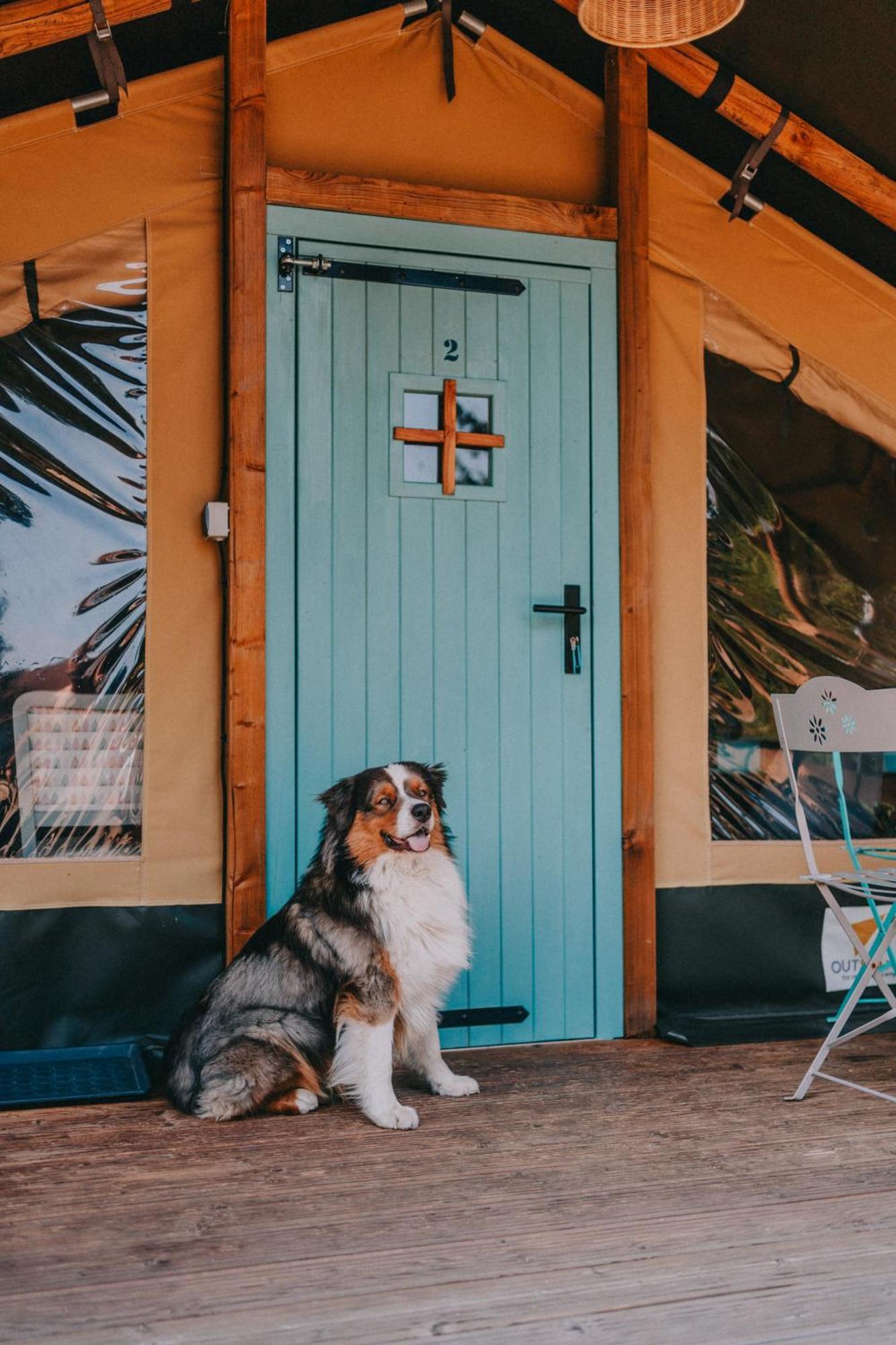 Rendes Glamping Ξενοδοχείο Balatonrendes Εξωτερικό φωτογραφία