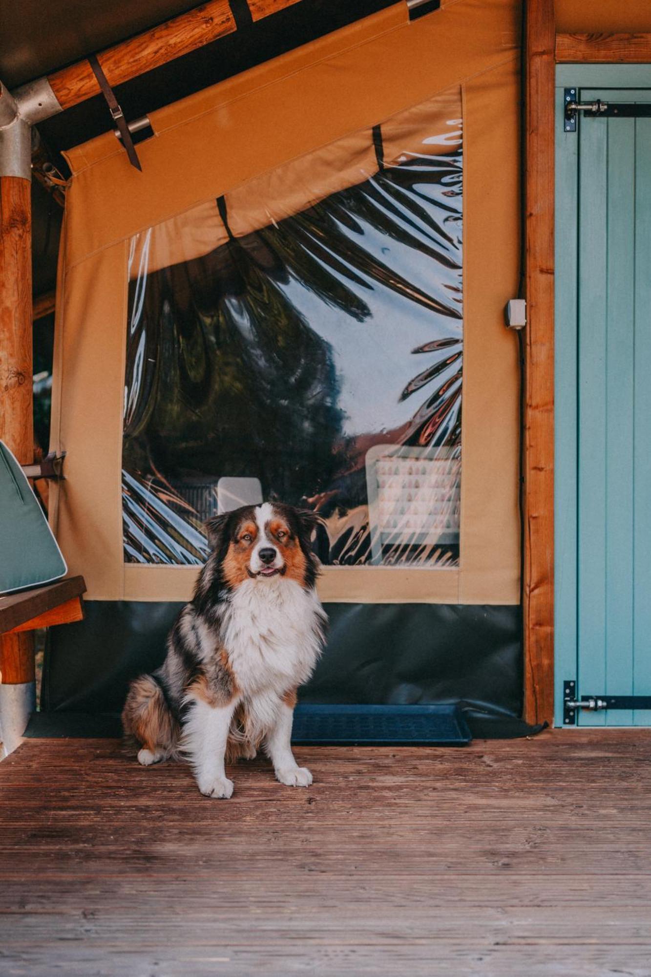 Rendes Glamping Ξενοδοχείο Balatonrendes Εξωτερικό φωτογραφία
