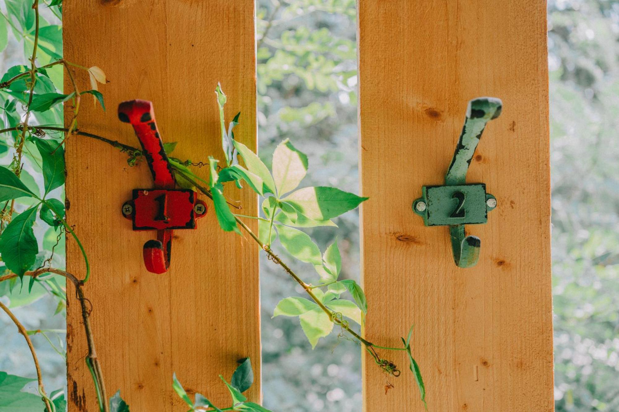 Rendes Glamping Ξενοδοχείο Balatonrendes Εξωτερικό φωτογραφία